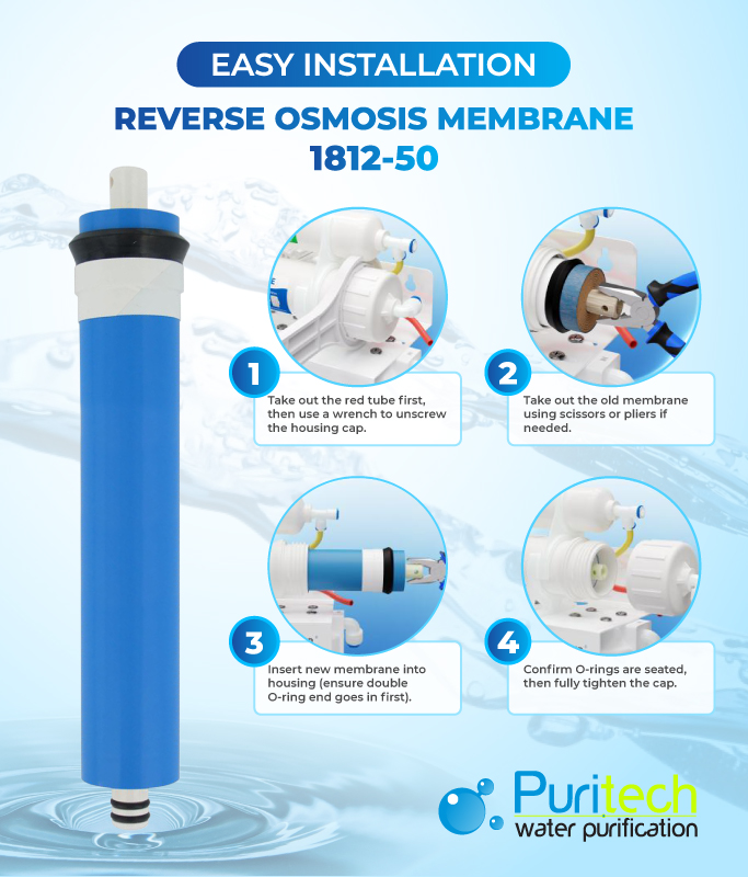 50-membrane 50-membrane