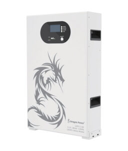 LFP51.2-100 51.2V100AH