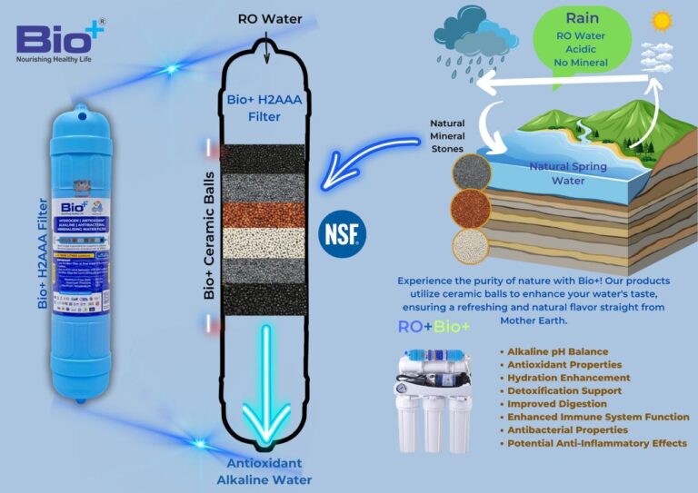 Bio+ H2AAA Filter for Domestic RO Purifiers